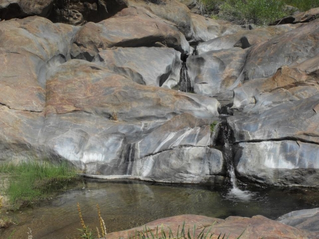 Escenas de naturaleza